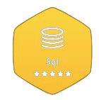 hackerrank-badge